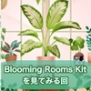 Kit Pack:Blooming Rooms Kitを見てみる回