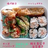 息子弁当9/21チーズハンバーグ9／22焼き鳥