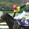 6.26(日)　競馬　宝塚記念とか