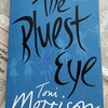 黒人社会の閉塞感を描く作品か　|　『THE BLUEST EYE』著：TONI MORRISON