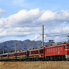 EF81-134牽引の「ELひな街道号」を撮る！