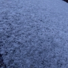 風花が舞う一日