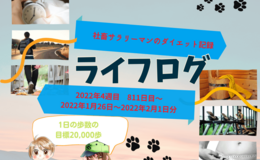 Go to entry