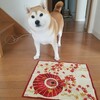 秋の高山にお出掛けです。
