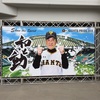 自転車でプロ野球沖縄キャンプ地巡りに行こう‼️