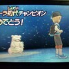 ポケモン　サン　ムーン　攻略　四天王　クリア　初代チャンピオン！　11月19日クリア済