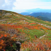 月山に紅葉狩りに行ってきた