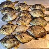 "【堤防カワハギ釣り】手軽に釣れる仕掛け餌最強タックル！ツ抜け達成！潮を見よ！横浜釣り/八景島対岸福浦金沢八景釣り" を YouTube で見る