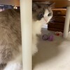 優しく甘噛み