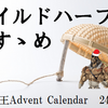 ワイルドハーフのすゝめ【遊戯王Advent Calendar24日目】