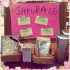 SAKURAシリーズ入荷！