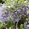 ２０２１／０４／２４　清水公園