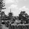 第1570回　聖徳太子信仰の背後に秘められた女性たちの祈り（１）
