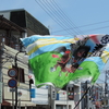 2016よさこい祭り・本祭2日目昼の部にて