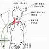 急な夏日で頭蓋骨捻れる