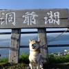 クリンを写真で偲んで・・・215日目