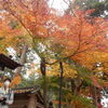 北鎌倉の「円覚寺」で素晴らしい紅葉見物！！（３）