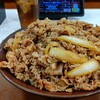 【大勝負】毎日キング牛丼140日目