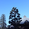 勝俣部長の「ため息」４６３６回････的確な解説を