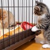 可愛いネコちゃんシリーズー2・・・