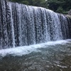 子どもと川遊び行ってきた。