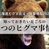 北海道ヒグマ出没・襲撃情報2023！いまこそ知っておきたい4つのヒグマ事情