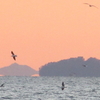 本邦初公開⋯浮島現象の極致⋯海面から離れた空中の島