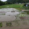 20230610 地域創造学環フィールドワーク 月ヶ瀬街あるき