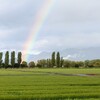 二十四節季「穀雨」4月20日～5月4日頃