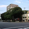 平清盛の西八条別邸跡と若一神社