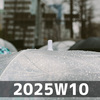 十回 (2025W10)