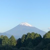 今朝の景色