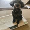 大きくなったね。