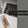 20241108