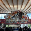 日本ダービーに行ってきました