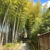 竹林の小径【修禅寺】自然豊かな散策を楽しもう