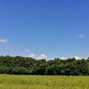 【今週の三河の空　#679週目】