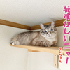彼の靴まで愛してる