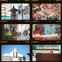 charmera生活 DAY19