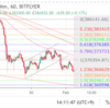【ビットコインFX】フィボナッチを目安にしたトレードは握力が上がる？【1/29〜31】