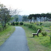 黄昏の手賀沼遊歩道のモズ