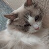 つまらないな、という口癖をやめたくて。