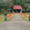 印西 結縁寺の彼岸花・・・のほどかな里山の雰囲気のあります