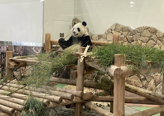 春休みは動物園の人気者に会いに行く！全国のスター動物10選