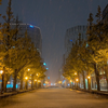今年もついに雪が来たことについて