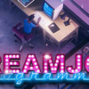 Dreamjob: Programmer