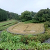 （静岡県東部のお城ご紹介）３国激戦区の趨勢を決めた深沢城の攻防戦