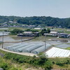 癒やされます★農地風景にありがとう