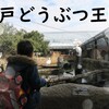 子供が動物と触れ合える神戸どうぶつ王国！