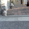 路上の流儀／残暑な・３